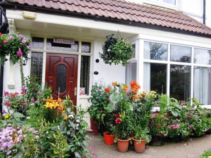 Beechlands B & B Sleights Bagian luar foto