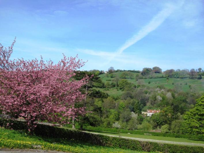 Beechlands B & B Sleights Bagian luar foto