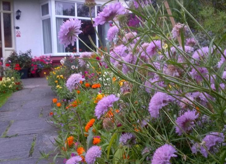Beechlands B & B Sleights Bagian luar foto